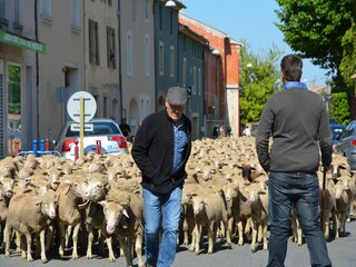 Villa Saint-Laurent-de-Carnols Omgeving 34