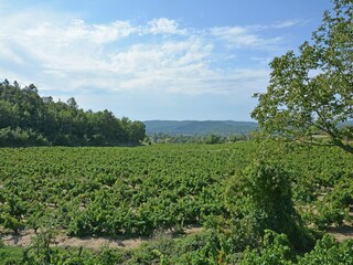 Villa Saint-Laurent-de-Carnols Omgeving 31