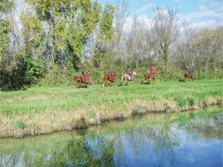 Villa Aigues Mortes Environnement 31