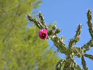 Villa Vergèze Outdoor Recording 5