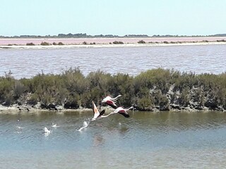 Villa Vergèze Omgeving 30