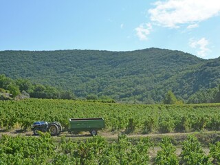 Vakantiehuis Saint-Privat-de-Champclos Omgeving 33
