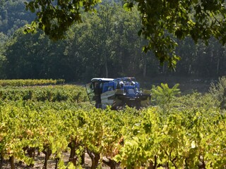 Villa Saint-Victor-de-Malcap Environment 32