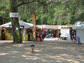 Villa Saint-Victor-de-Malcap Ambiente 39