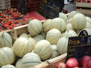 Villa Les Mages Environnement 32