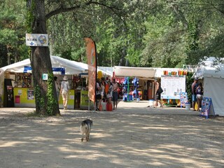 Villa Saint-Victor-de-Malcap Environnement 35