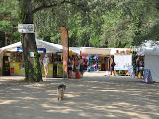 Villa Saint-Victor-de-Malcap Umgebung 40