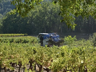 Villa Molières-sur-Cèze Environnement 40