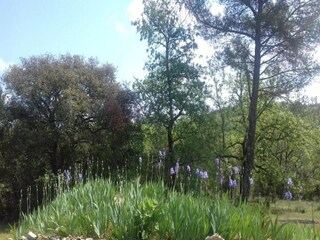 Villa Saint-Ambroix Environnement 35