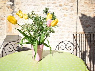 Maison de vacances Montclus  39