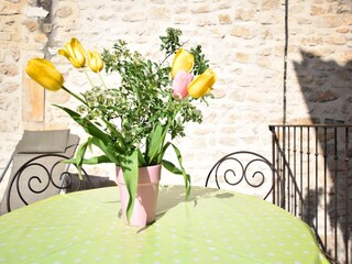 Maison de vacances Montclus  40