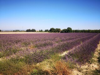 Villa Saint-Christol-de-Rodières Environment 35