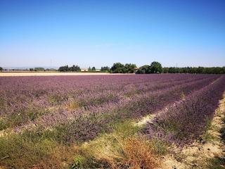 Villa Saint-Christol-de-Rodières Umgebung 35