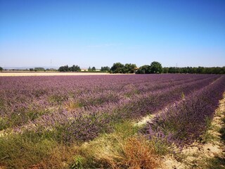 Villa Saint-Christol-de-Rodières Entorno 37