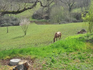 Villa Cazaubon Registrazione all'aperto 10