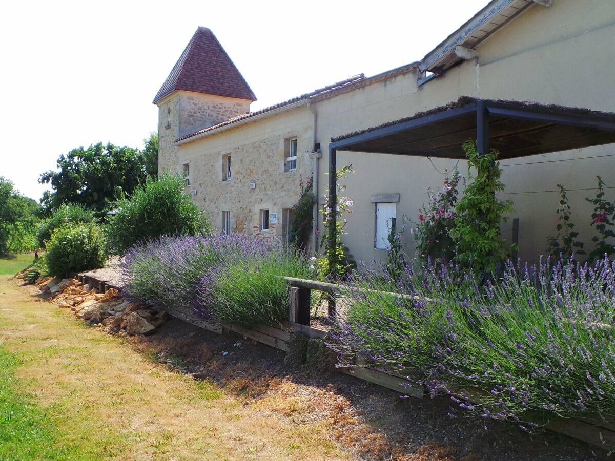 Holiday house Fargues Outdoor Recording 1