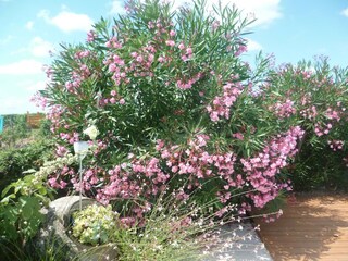 Holiday house Fargues  72
