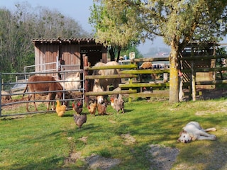 Holiday house Fargues  62