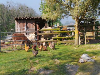 Vakantiehuis Fargues  62