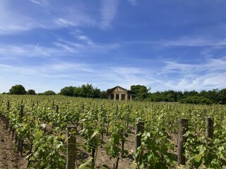 Maison de vacances Fargues Environnement 53