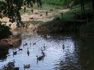Maison de vacances Fargues  71