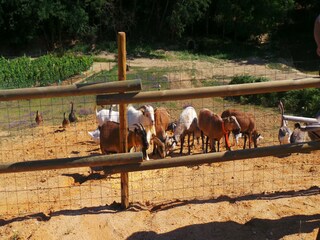 Casa per le vacanze Fargues  58