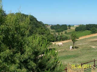 Holiday house Fargues Outdoor Recording 17