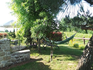 Ferienhaus Fargues Außenaufnahme 21