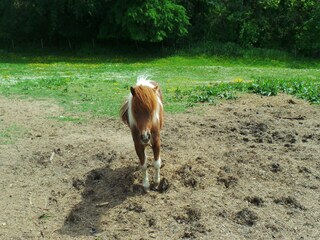 Holiday house Fargues  62