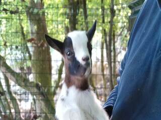 Ferienhaus Fargues Außenaufnahme 15