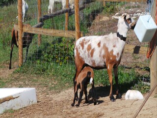 Casa per le vacanze Fargues Registrazione all'aperto 10
