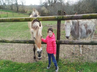 Ferienhaus Fargues Außenaufnahme 8