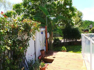 Ferienhaus Fargues Außenaufnahme 6