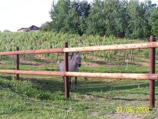 Vakantiehuis Fargues  58