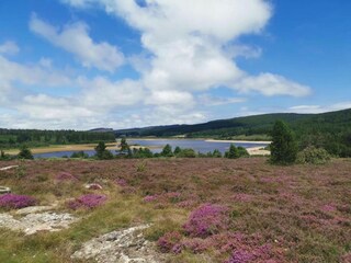 Casa de vacaciones Riols Entorno 39