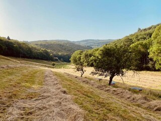 Maison de vacances Riols Environnement 40