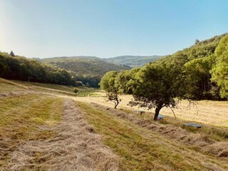 Ferienhaus Riols Umgebung 38