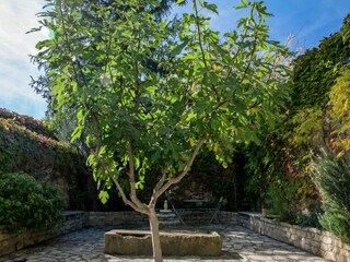 Ferienhaus Pailhès Außenaufnahme 4