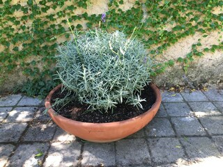 Maison de vacances Pailhès Enregistrement extérieur 5