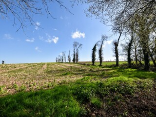 Vakantiehuis Baguer-Morvan Omgeving 26