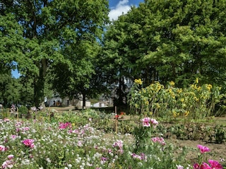 Ferienhaus Baguer-Morvan Außenaufnahme 9