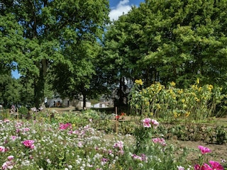 Ferienhaus Baguer-Morvan Außenaufnahme 5