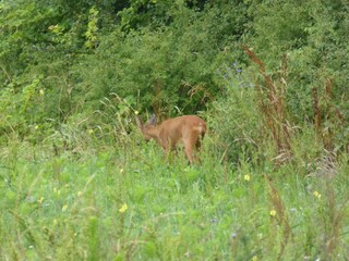 Type de propriété : Ferme Giroux Enregistrement extérieur 6