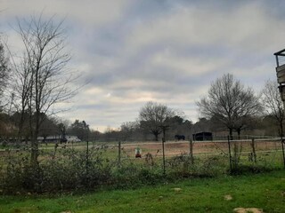 Casa de vacaciones Richelieu Entorno 23