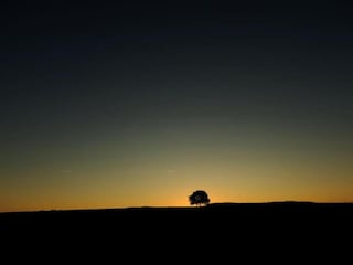 Ferienhaus Richelieu Umgebung 31