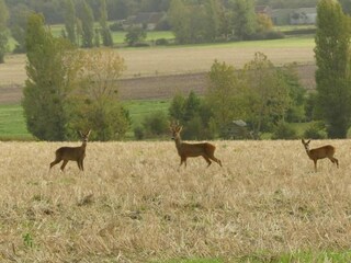 Maison de vacances Richelieu Environnement 23
