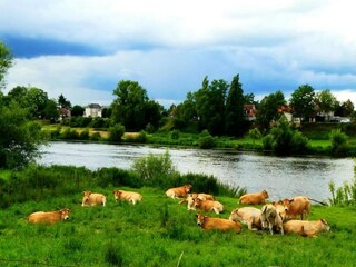 Vakantiehuis Richelieu Omgeving 27