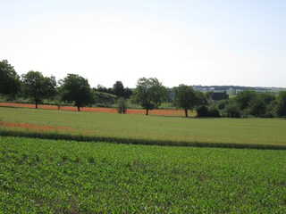 Holiday house Lerné Outdoor Recording 10