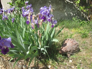 Maison de vacances Lerné Environnement 22