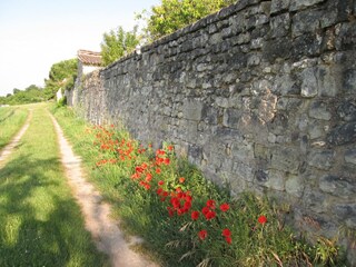 Casa de vacaciones Lerné Entorno 26